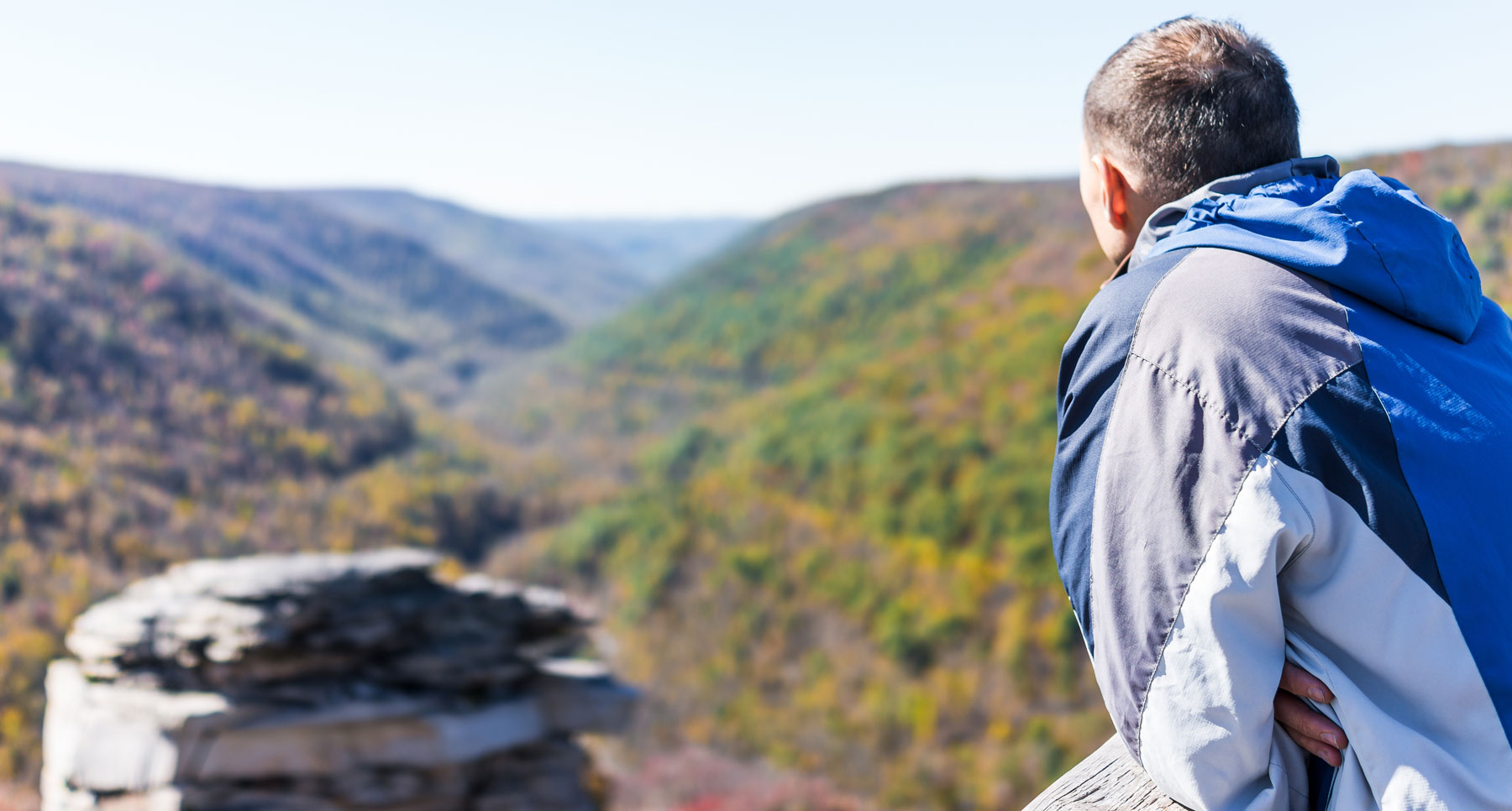 Người đàn ông nhìn ra toàn cảnh khu rừng