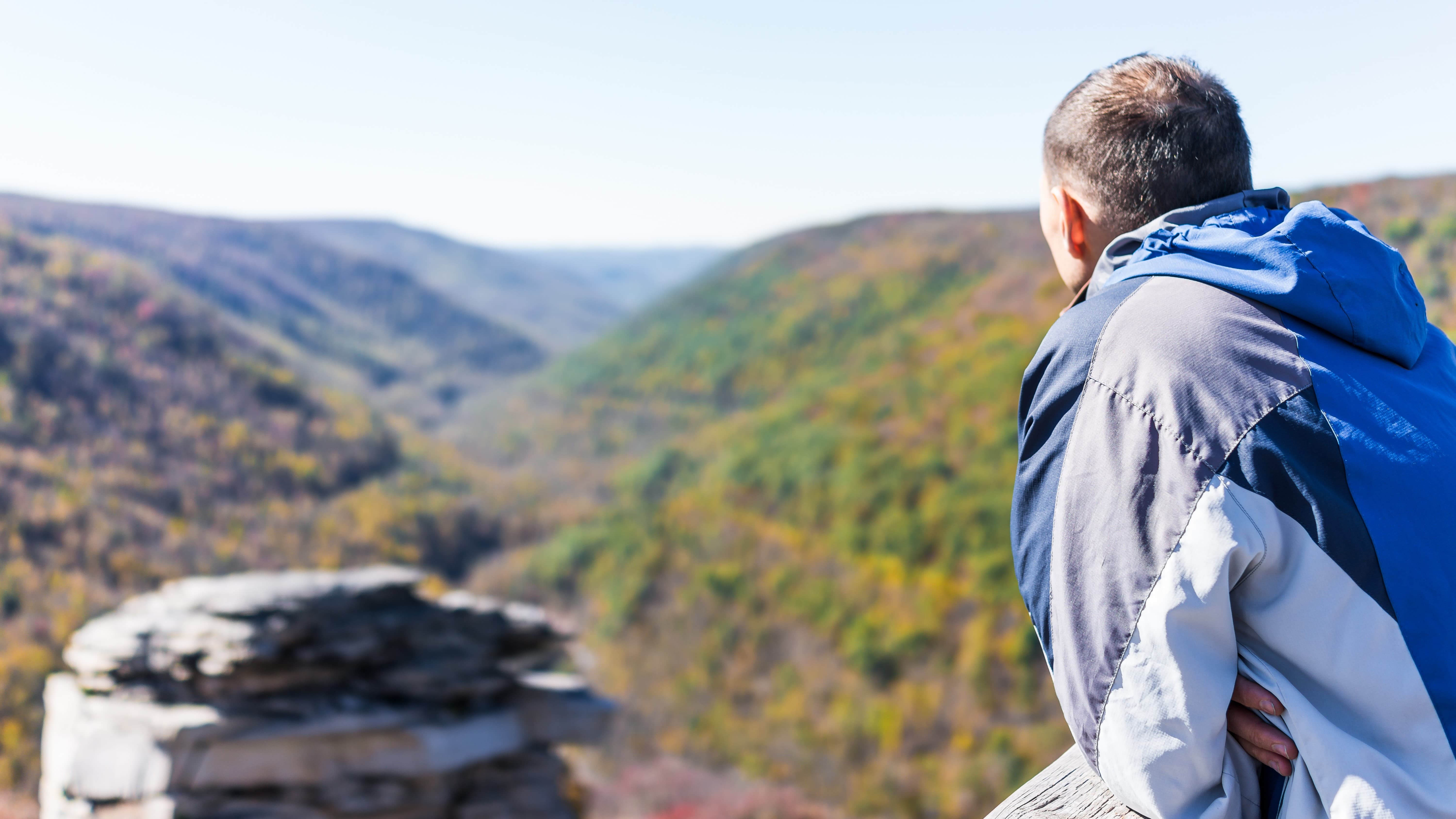 Nhìn ra toàn cảnh khu rừng